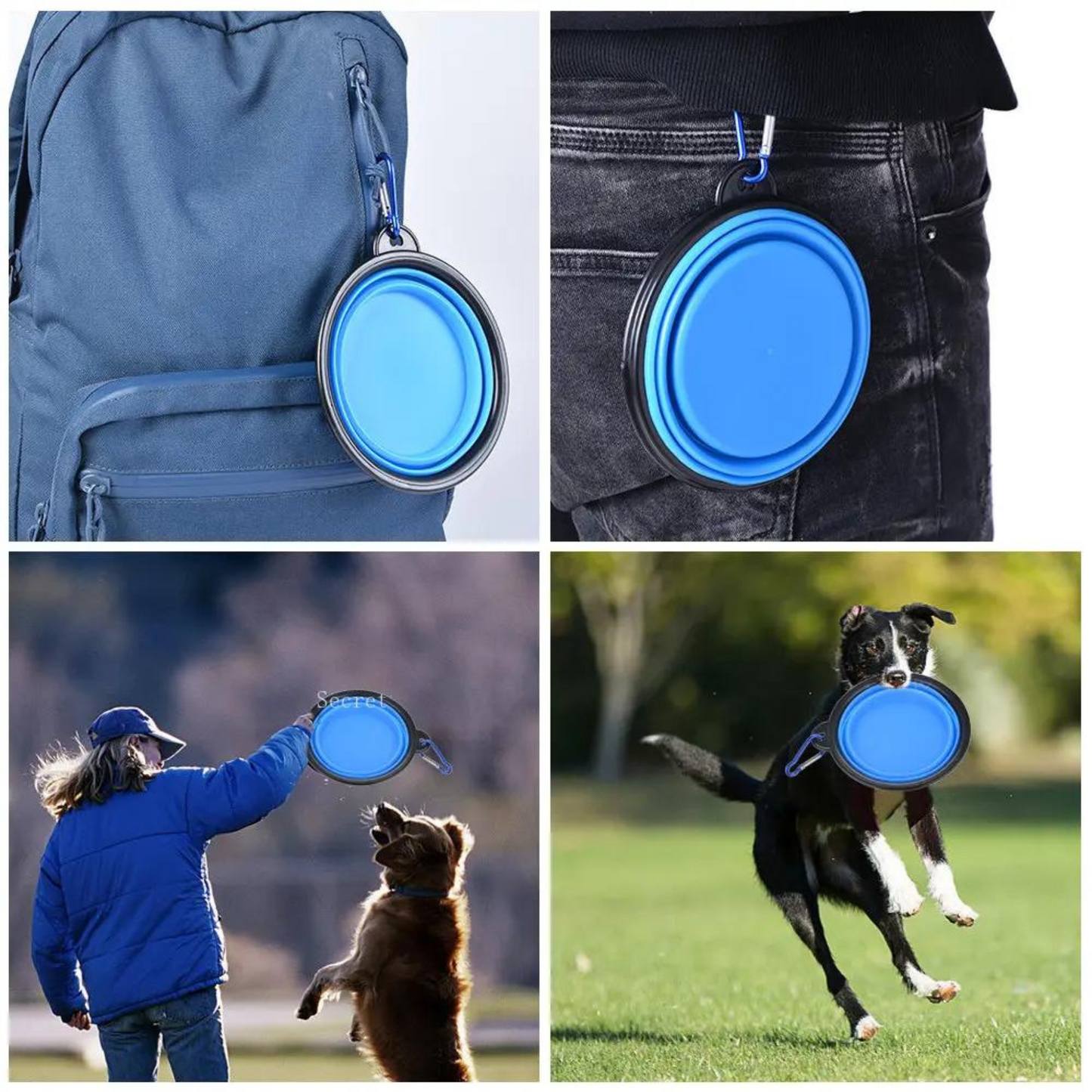 Adventure-Ready: Collapsible Silicone Pet Travel Bowl for On-the-Go Comfort and Convenience